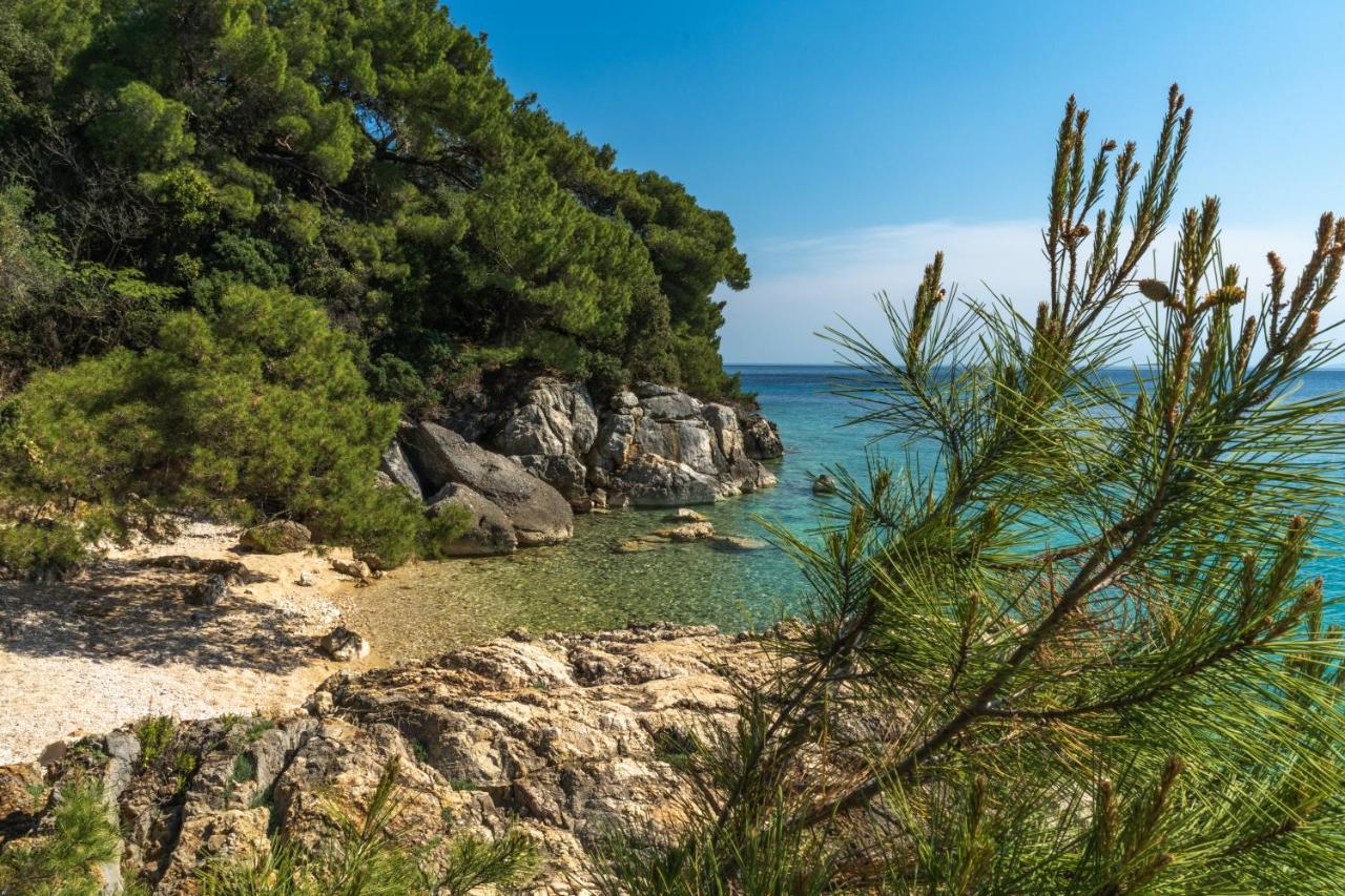 Appartamento Galapagus Privat Beach & Boat Dock Metajna Esterno foto